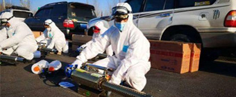 長沙消毒公司，長沙滅鼠公司